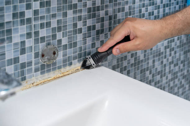 Best HVAC Mold Remediation in Felida, WA